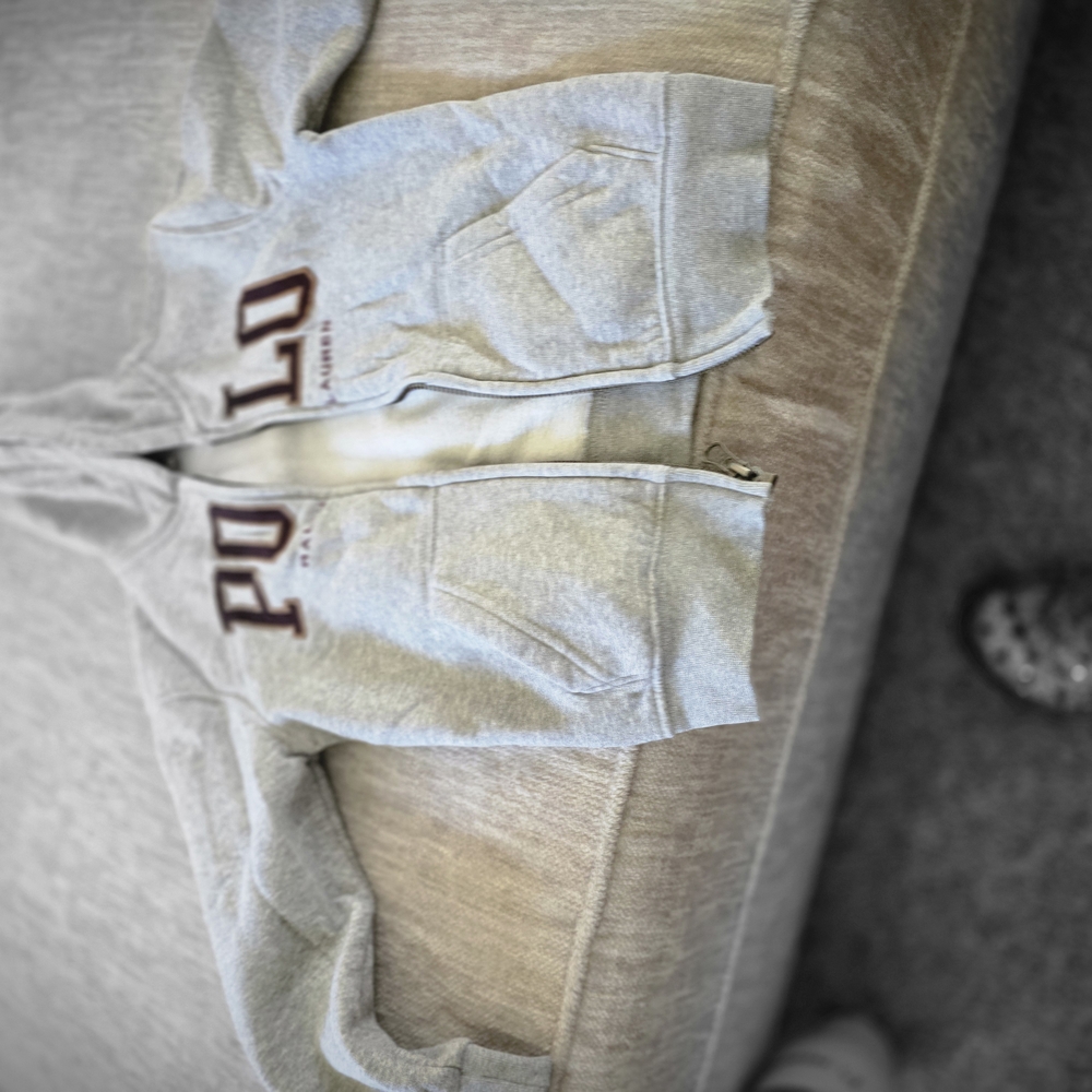 Polo Gray Hoodie